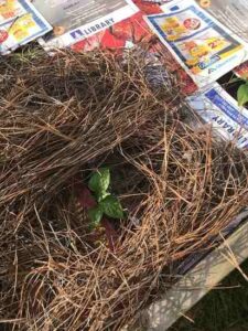 Lasagna Layering. Does it Really Work? Image